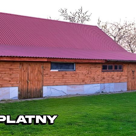 Agroturystyka Nielisz Zamosc - Kwatery Przy Skansenie 외부 사진